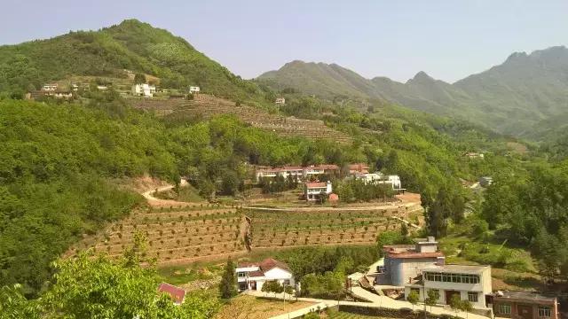 京康富硒茶价格表(京康茶业)-硒宝网