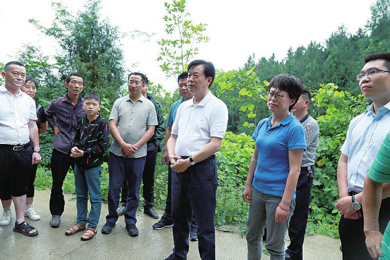 万源富硒茶原产地（产地茶富硒万源原料是什么）-硒宝网