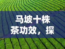 富硒八仙茶多少钱(富硒八仙茶是什么种类)-硒宝网