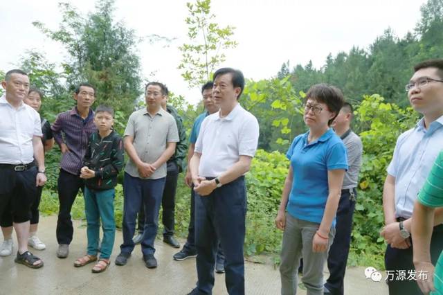 万源石塘富硒茶廊(万源富硒茶多少钱一斤)-硒宝网