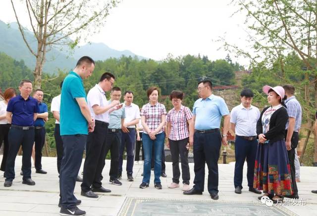 万源石塘富硒茶廊(万源富硒茶多少钱一斤)-硒宝网