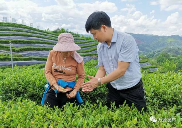 万源石塘富硒茶廊(万源富硒茶多少钱一斤)-硒宝网