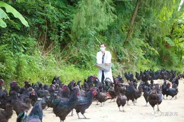 万源石塘富硒茶廊(万源富硒茶多少钱一斤)-硒宝网