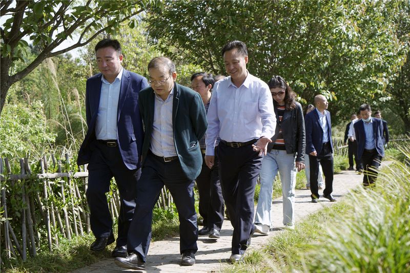 四川省十大富硒茶（四川富硒土壤分布图）-硒宝网