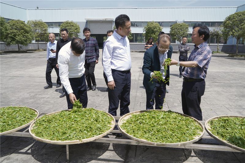 四川省十大富硒茶（四川富硒土壤分布图）-硒宝网