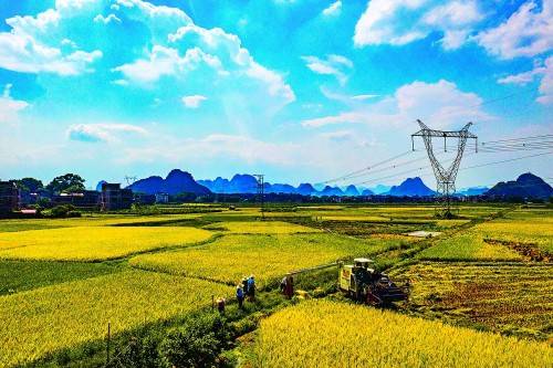 广西富硒大米功效(富硒的大米)-硒宝网