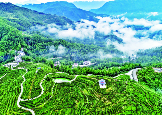 广西富硒大米功效(富硒的大米)-硒宝网