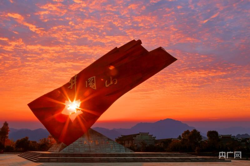 品牌建设富硒大米(富硒大米产地有哪些)-硒宝网