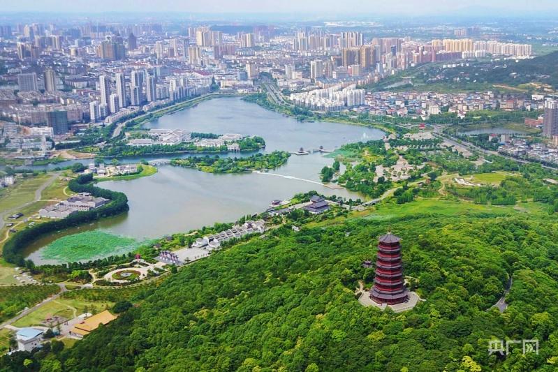 品牌建设富硒大米(富硒大米产地有哪些)-硒宝网