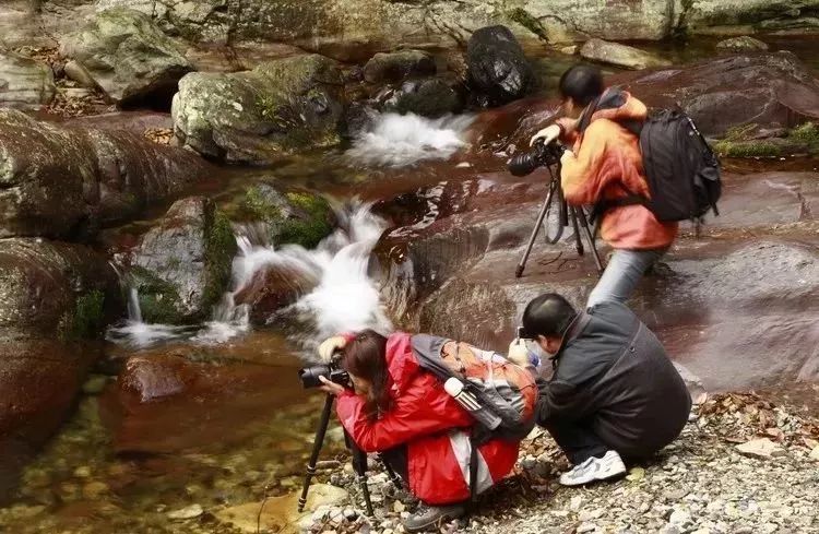 仙寓谷富硒茶民宿(仙寓山富硒野茶价格特级)-硒宝网