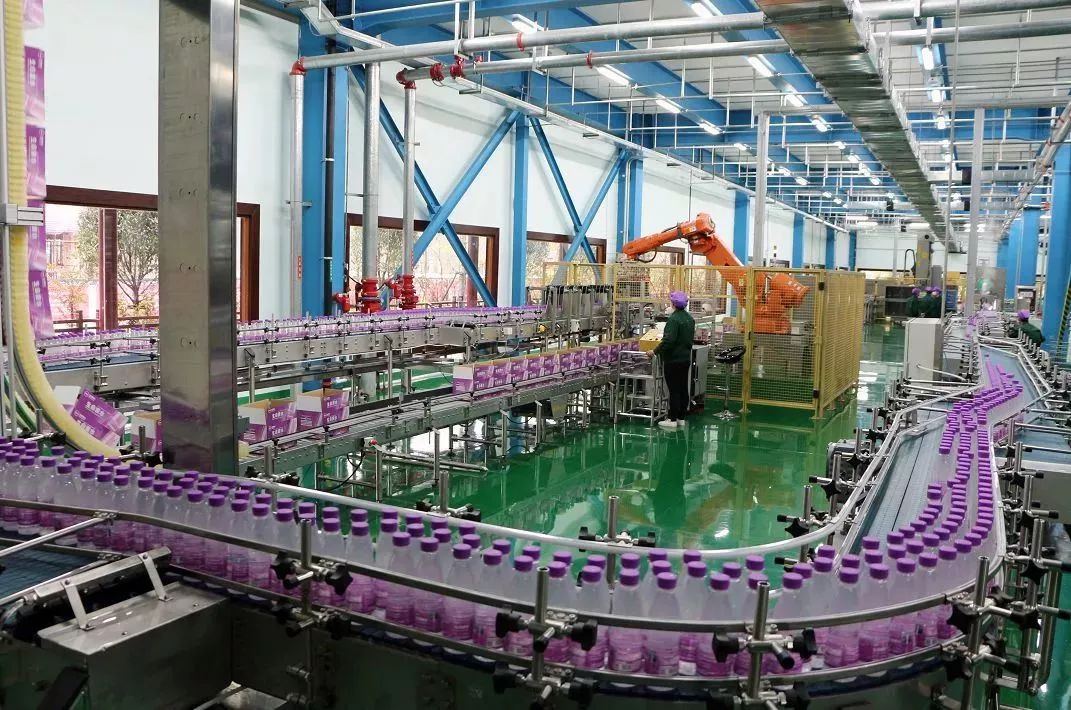 仙寓谷富硒茶民宿(仙寓山富硒野茶价格特级)-硒宝网