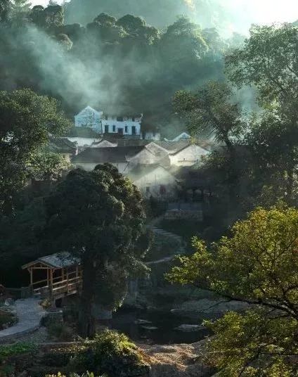 仙寓谷富硒茶民宿(仙寓山富硒野茶价格特级)-硒宝网