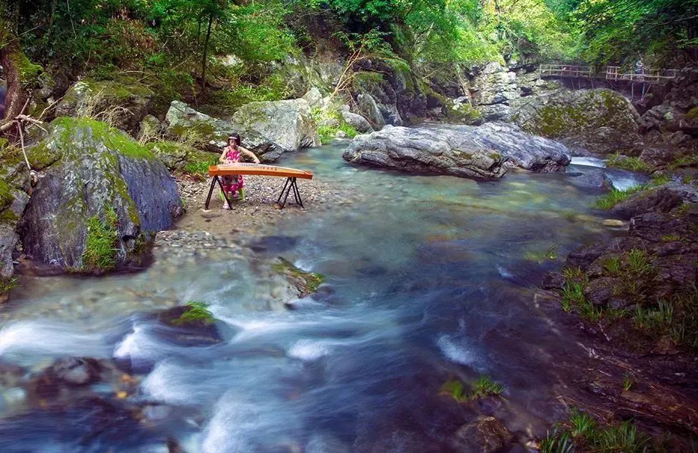 仙寓谷富硒茶民宿(仙寓山富硒野茶价格特级)-硒宝网