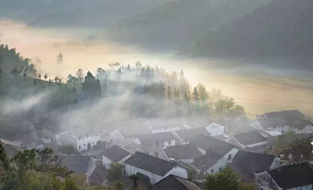 仙寓谷富硒茶民宿(仙寓山富硒野茶价格特级)-硒宝网