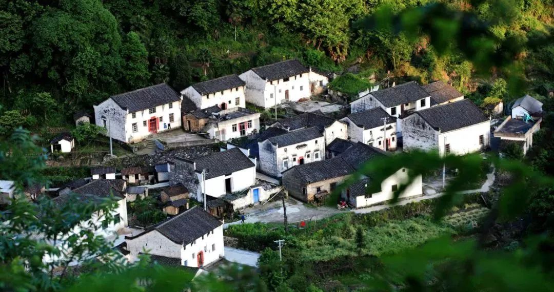 仙寓谷富硒茶民宿(仙寓山富硒野茶价格特级)-硒宝网