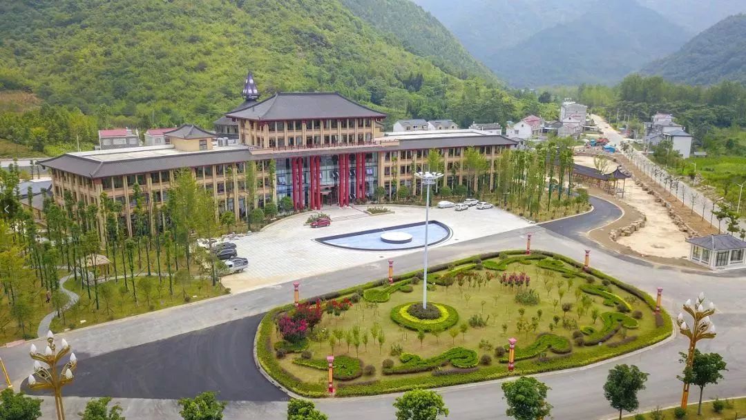 仙寓谷富硒茶民宿(仙寓山富硒野茶价格特级)-硒宝网