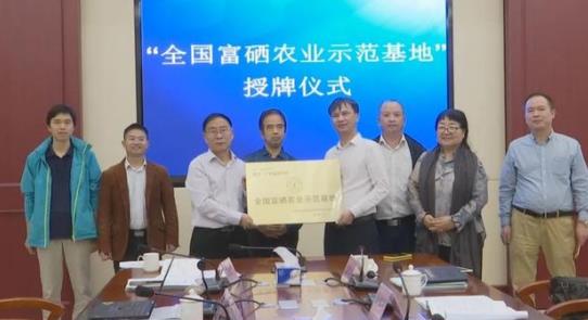 丰城富硒大米产值(丰城富硒大米企业)-硒宝网