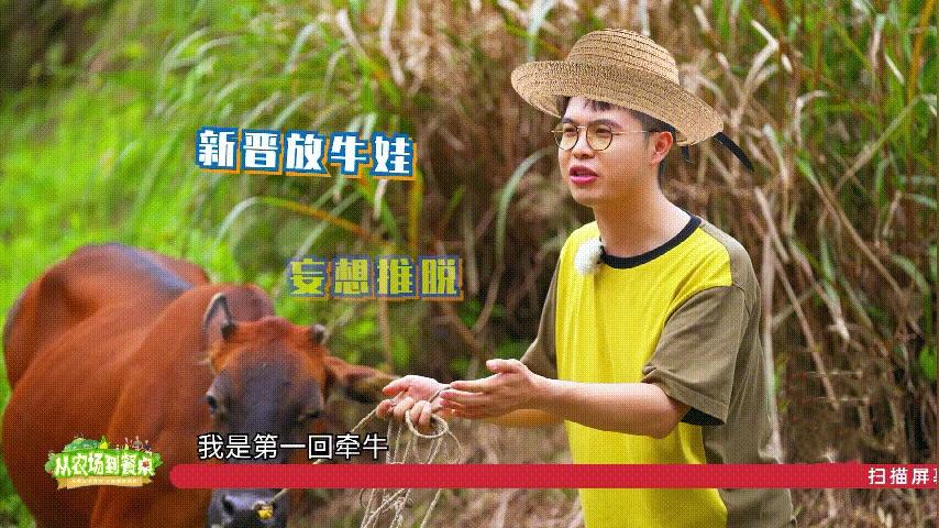 富硒土地大米介绍(大米土地富硒介绍怎么写)-硒宝网