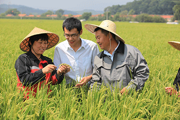 富硒大米 大米姐（大米姐富硒米价格）-硒宝网