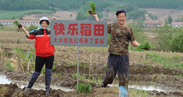 富硒大米 大米姐（大米姐富硒米价格）-硒宝网