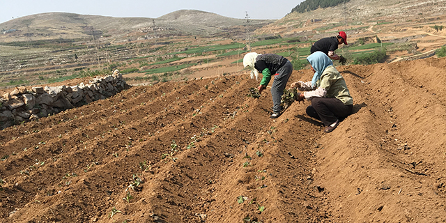 富硒大米百度指数(富硒大米国标含量)-硒宝网