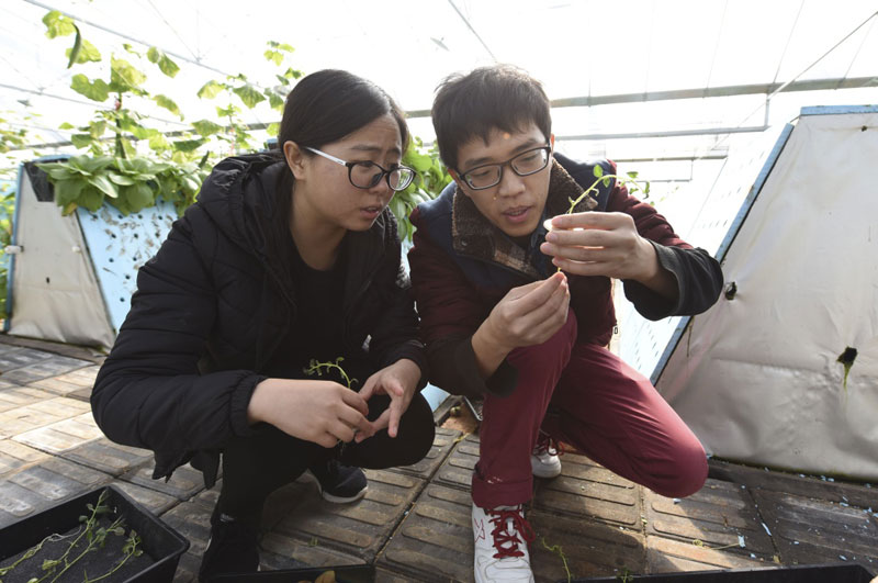 浦北县富硒大米厂（普阳富硒大米）-硒宝网