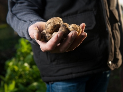 浦北县富硒大米厂（普阳富硒大米）-硒宝网