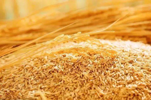 苏州大米富硒大米（江苏富硒大米）-硒宝网