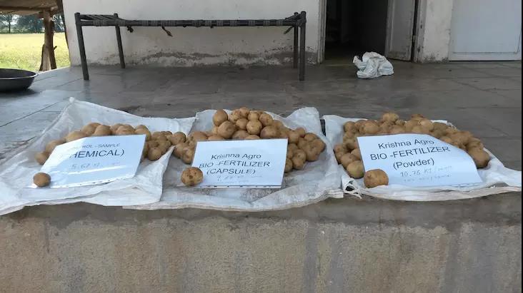 酵素大米富硒大米（大米酵素富硒的功效）-硒宝网