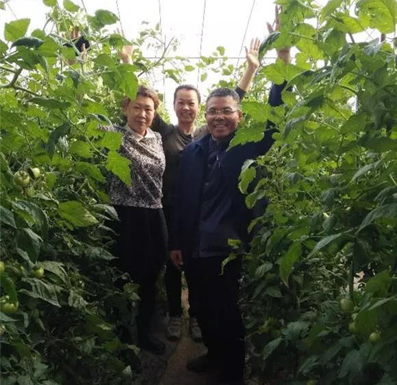 酵素大米富硒大米（大米酵素富硒的功效）-硒宝网