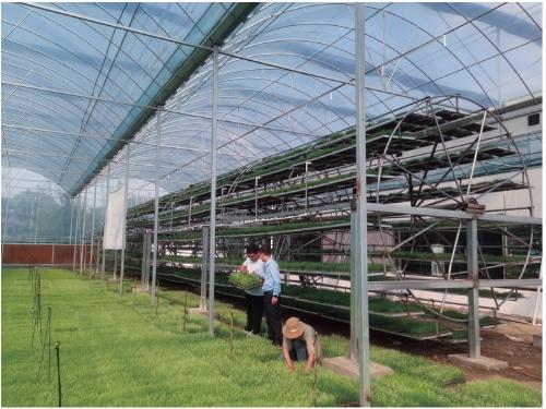 上犹县富硒大米厂（富硒优质大米）-硒宝网