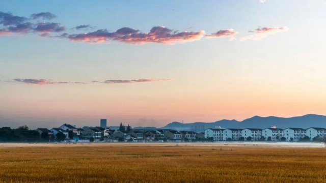 硒谷科技富硒大米（硒谷米业）-硒宝网