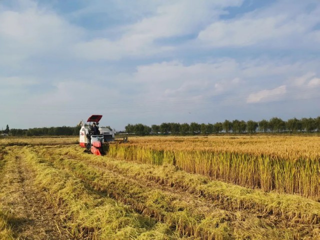 硒谷科技富硒大米（硒谷米业）-硒宝网