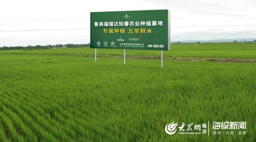 苏州大米富硒大米（富硒优质大米）-硒宝网