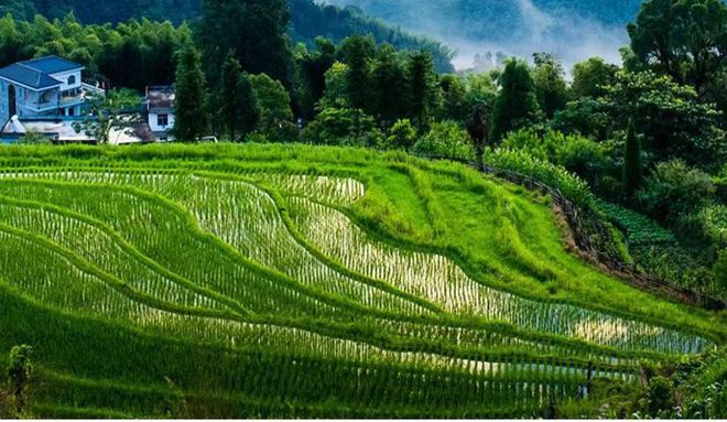 富硒大米2022(大米富硒含量国家标准)-硒宝网