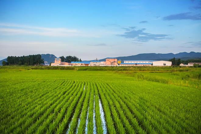 富硒大米2022(大米富硒含量国家标准)-硒宝网