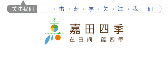 富硒大米含硒多少（大米含硒有什么好处）-硒宝网