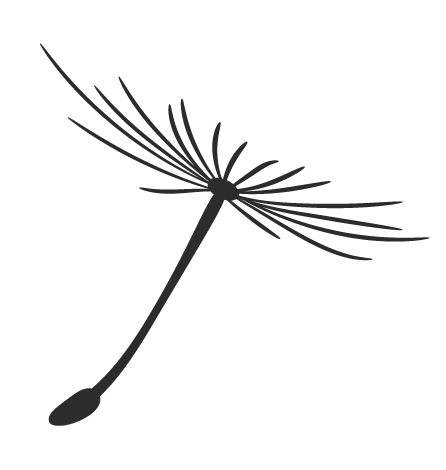 富硒大米含硒多少（大米含硒有什么好处）-硒宝网