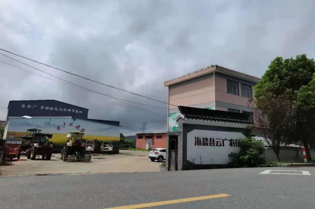 富硒大米含硒多少（大米含硒有什么好处）-硒宝网