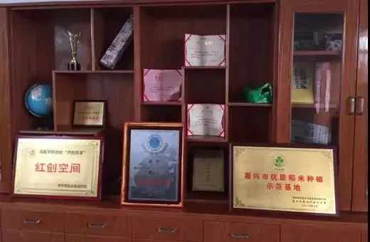 富硒大米含硒多少（大米含硒有什么好处）-硒宝网