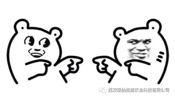 富硒大米是打硒吗(富硒的大米)-硒宝网