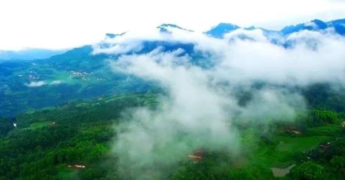 江津富硒大米销量(富硒大米基地)-硒宝网