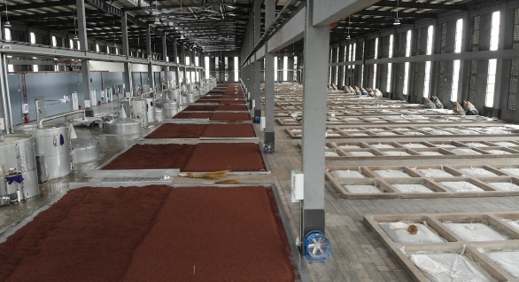 江津富硒大米销量(富硒大米基地)-硒宝网