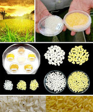 富硒大米黄金大米（大米黄金富硒含量高吗）-硒宝网