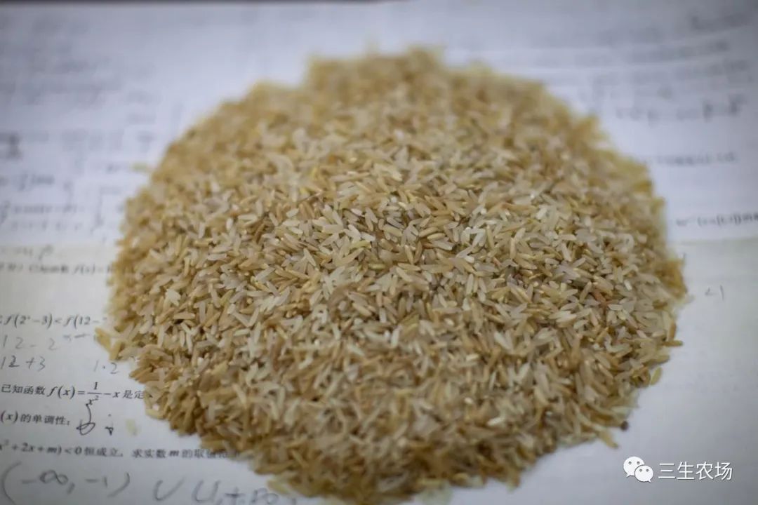 富硒大米产自哪里（富硒大米中含有的主要营养素是）-硒宝网