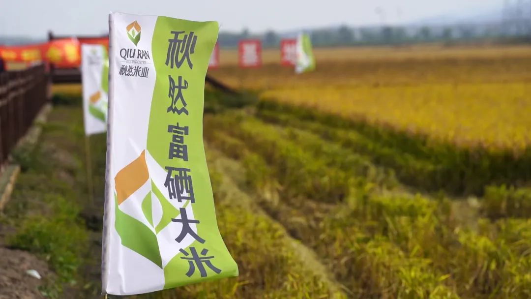 富硒大米是打硒吗（据报道富硒大米有多种保健功能）-硒宝网