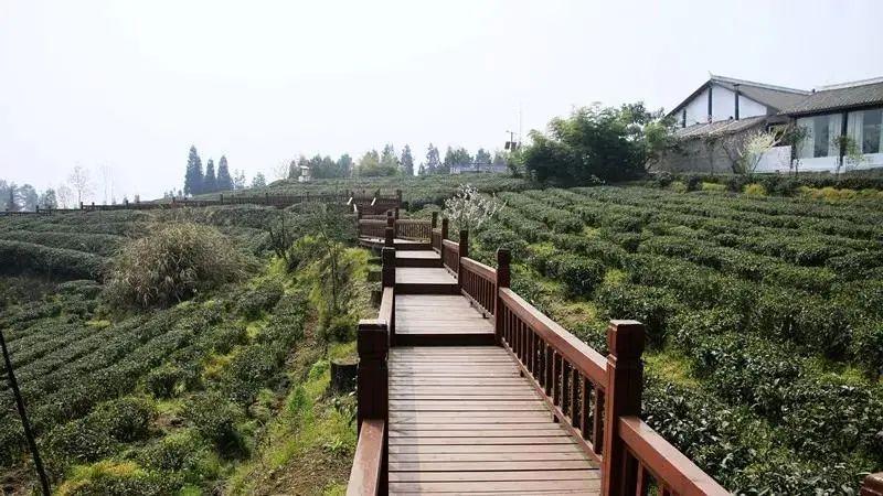 富硒之乡开阳大米（富硒大米基地）-硒宝网