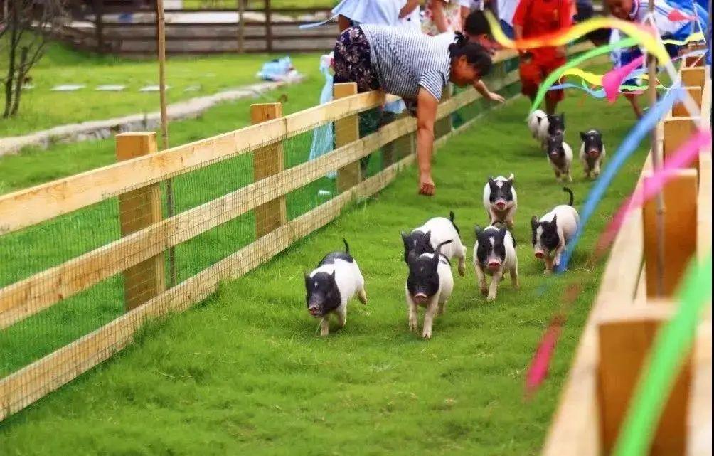 富硒之乡开阳大米（富硒大米基地）-硒宝网