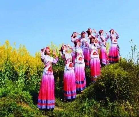 富硒之乡开阳大米（富硒大米基地）-硒宝网