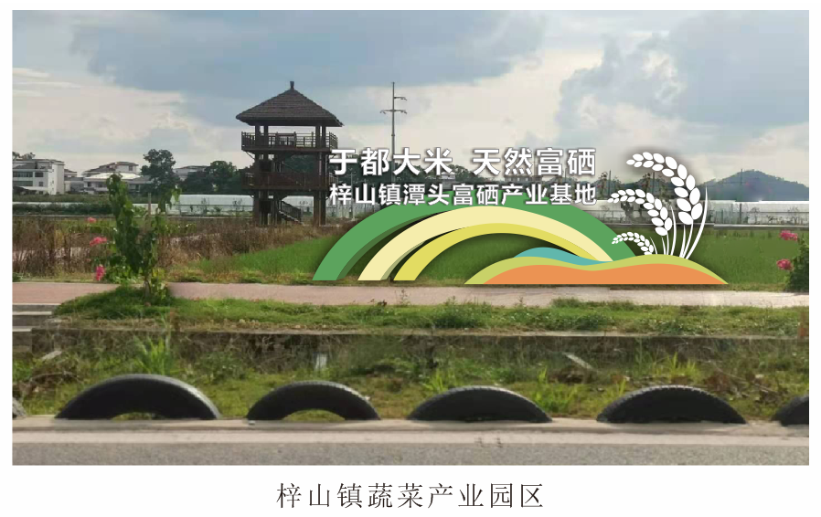 于都梯田富硒大米(江西富硒大米多少钱一斤)-硒宝网